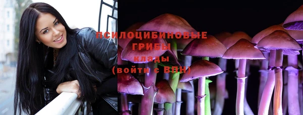 мдпв Армянск