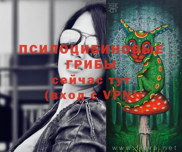 эйфоретик Аркадак